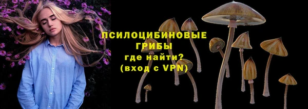 первитин Алексеевка