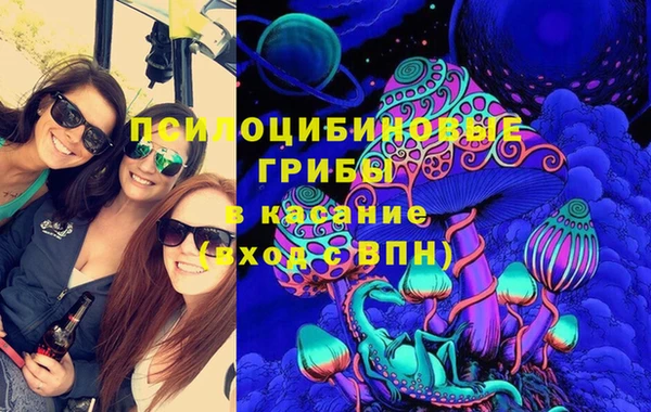 apvp Алексин