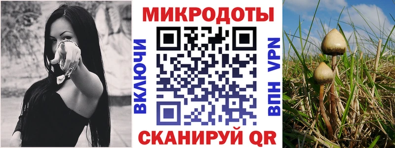 где продают наркотики Пикалёво Псилоцибиновые грибы ЛСД